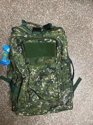 戰鬥個裝 公發 國軍數位迷彩 背包 攻擊包 攜行袋 戰術攜行袋 售價1800 八成新