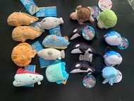 日本景品 yell 豆豆眼 水族館 系列 (包平郵）