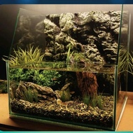 12" Paludarium Normal Glass Aquarium size - 12x12x12" | 30x30x30cm