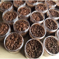 CHOCOJAR PREMIUM ChocoJar Murah Choco Jar Murah Cocojar Murah Sedap Viral Ready To Eat Food Halal Sn