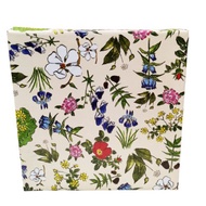 Folding Cake Box 14x18x6"/15x15x6"/16x16x6" (Hard Cake Box)