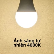 2 Bóng Đèn LED E27/E14 B22 220V Siêu Sáng 3W-20W Tiết Kiệm Năng Lượng Bóng Đèn Cho Văn Phòng Nhà Sto