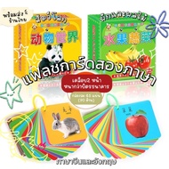 Flash Cards 2 Languages English-Chinese Vocabulary Photo Card Chinese Chinese-English