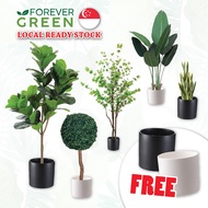 [FREE POT] Artificial Plant Minimalist Living Room Decorate Plant With Pot Snake Plant Topiary Green Tall Fake Plant