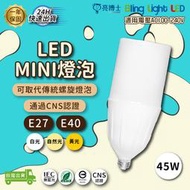 ◎Bling Light LED◎亮博士LED MINI燈泡 45W E27 E40 三種色溫 可取代85W螺旋燈泡