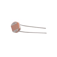 LDR (Light Dependent Resistor)
