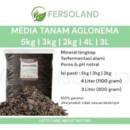 Premium aglonema planting Media 20L(5kg) 12L(3kg) 8L(2kg) 4L 3L | Ready-to-use red peacock widuri ag