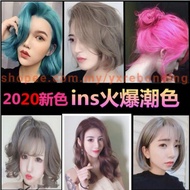 【 Ready Stock】Professional Colour Cream 100ml Hair Dye Color / Developer (Malaysia Stock)silver hair