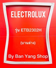 ขอบยางตู้เย็น ELECTROLUX รุ่น ETB2302H (บานล่าง)