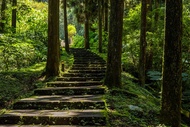 南投旅遊｜旅展折$300｜溪頭自然教育園區.日月潭遊船.溪頭福華渡假飯店二日｜中部出發