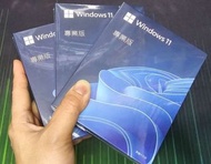 微軟windows10 windows11 pro 專業版 彩盒裝 繁體中文 USB手指安裝