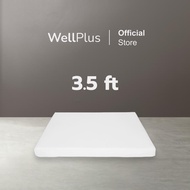 WellPlus ที่นอนปิคนิค รุ่น Laila ความหนา 3 นิ้ว หนานุ่ม รองรับน้ำหนักได้มาก ลดการสะสมของไรฝุ่น