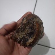 BATARA Bajang Temuan Trowulan Langka Antik Joss