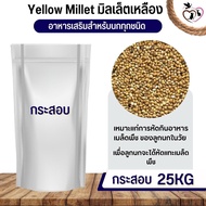 Yellow Millet มิลเล็ตเหลือง อาหารนก กระต่าย หนู กระต่าย กระรอก ชูก้า และสัตว์ฟันแทะ (กระสอบ 25KG)