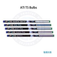 ♋ 秘境水族 ♋【ATI】T5 Bulbs 燈管 基本管  白 藍白 藍 紫藍 紫紅 24W