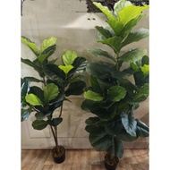 *READY STOCK*FIDLE FIG ARTIFICIAL PREMIUM QUALITY