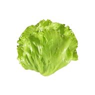 โครงการหลวง สลัดแก้ว