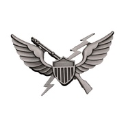 WW2 US VIETNAM WAR 11TH AIRBORNE AIR ASSAULT MOBILE METAL WINGS BADGE PIN