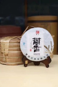 瀾滄古茶 - 古樹普洱茶 2013年傳奇蘭香 梅子香 蜜香明顯