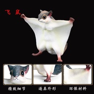 Children's Solid Realistic Wild Animal Toys Realistic Flying Squirrel Ferret Flying Tiger Realistic 