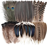 Natural Feathers Bulk - 55PCS - 6 Styles Assorted Natural Feathers Peacock Feathers Pheasant Feather