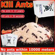 [No ants within 10000m] ant killing bait 20pack/100g ant bait ant poison ant killer insecticide powd