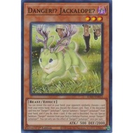 [Yugioh Card] Danger!? Jackalope?