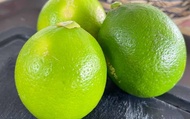 【台中外埔 玉翡翠檸檬5斤裝】可連皮吃的新品種 多種營養全吸收