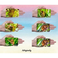 Ashgianly BOHOL RUBBER REF MAGNET SOUVENIR