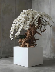 Driftwood adorned with white orchids(ขนาด85cm.)