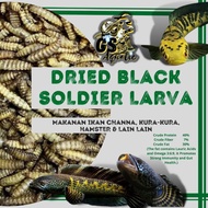 Malaysia Stock Dried Black Soldier larvaMakanan ikan channa, kura-kira, hamster, dan lain2