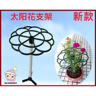 *BloomsMY*Lollipop Plant Support 9 Oclock Flower/Ros Jepun/Rak Bunga Kembang Jam 19/ 太阳花棒棒糖 九点花支架