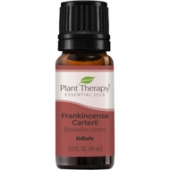 Plant Therapy Frankincense Carteri Essential Oil