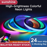 5V rgb neon light Music Sync rgb led strip waterproof 5m led neon light strip App Voice Control Blue
