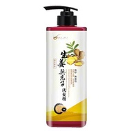 Soapberry Ginger Soapberry Shampoo 500ml