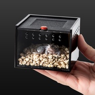 Reptile Pet Box Pet Reptile Box Acrylic Spider Scorpion Beetle Insect Breeding Box Reptile Box