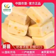 [Xinjiang Nongken] Western Region Huateng Milk Tofu 500g Xinjiang Specialty Milk Tofu Milk Products 