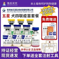 Puppies Dogs Prevent Needles Quadruple Pets Rabies Seedlings Prevent Small Dogs Plague Teddy Seedlin