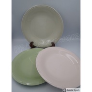 Ceramic Plate Clear Steak Salad Food Size 11 Inches 28x2cm