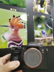 Sony A7III A7M3 A7 III 不是A7C 請到店舖參觀