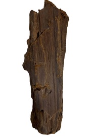 Driftwood 1 piece / Sterile wood/ For Isopod / Reptiles / Aquarium Deco