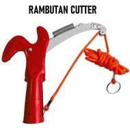 Rambutan cutter tree pruner cutter / Gunting rambutan