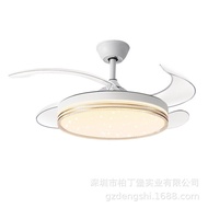 HAIGUI A56 Fan With Light Bedroom Inverter With LED Ceiling Fan Light Simple DC Power Saving Ceiling Fan Lights (HP)