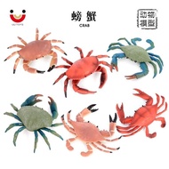 Simulation Sea Animal Shuttle Crab Crab Toy King Crab Crab Large Size Children Cognitive Gift Model 