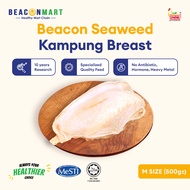 [Beacon Mart] Halal Seaweed Kampung Chicken Breast Fresh Frozen| Dada Ayam Kampung Segar | 甘榜鸡胸 | 50