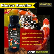 Reseller) Anti Algae And Parasite Medicine For Moss Algae Remover Pond And Aquarium 100ml