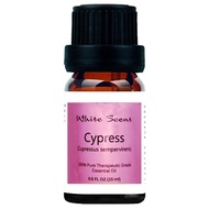 Cypress Essential Oil 15ml
