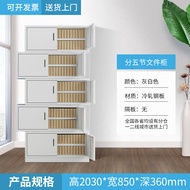 Office IRON File Cabinet Information Document Cabinet Accounting Financial Voucher Cabinet Thickened Storage Cabinet with Lock