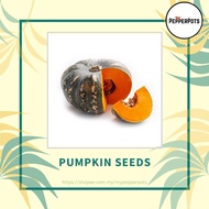 [Seeds] Pumpkin / Labu Manis Fruit Seeds ±4 seeds. (Seeds only)