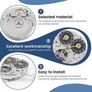 VVA MALL-New ST25 for Seagull ST2525 Watch Movement Mechanical Automatic Movement 5 Hands